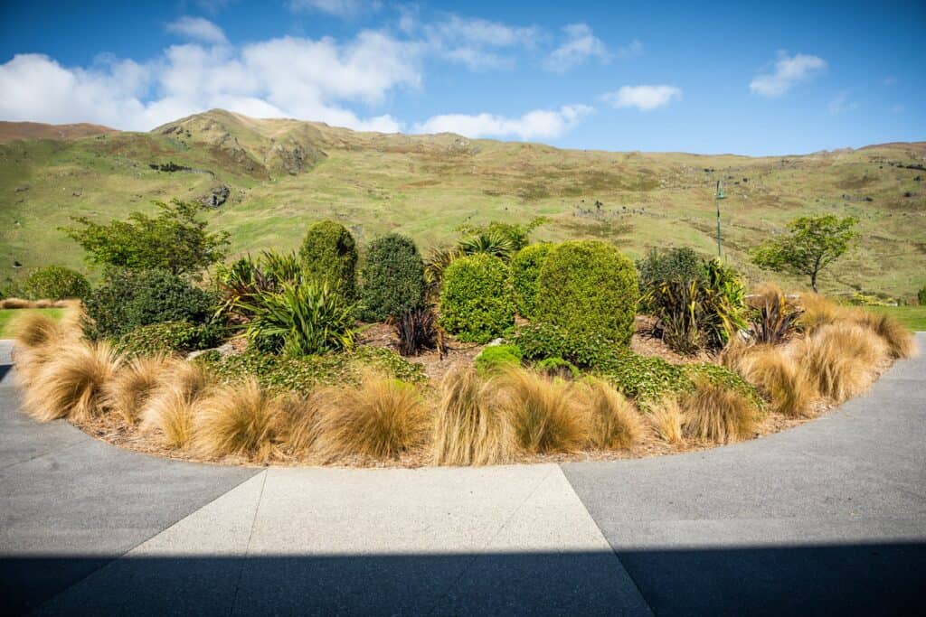 Elderberry Crescent Wanaka