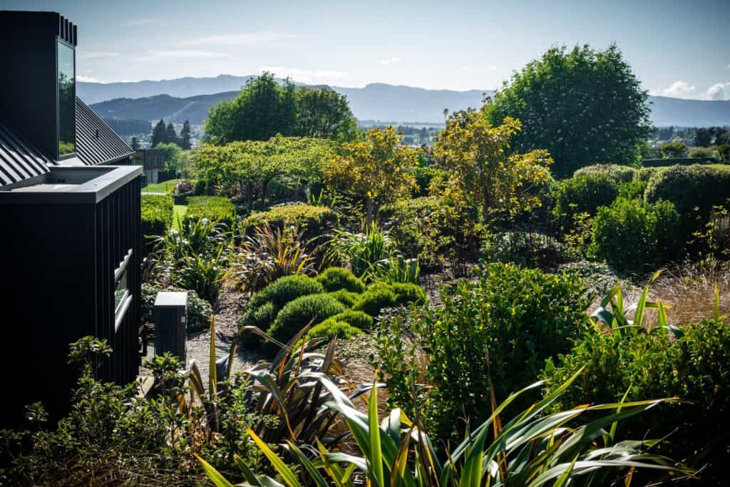 Elderberry Crescent Wanaka