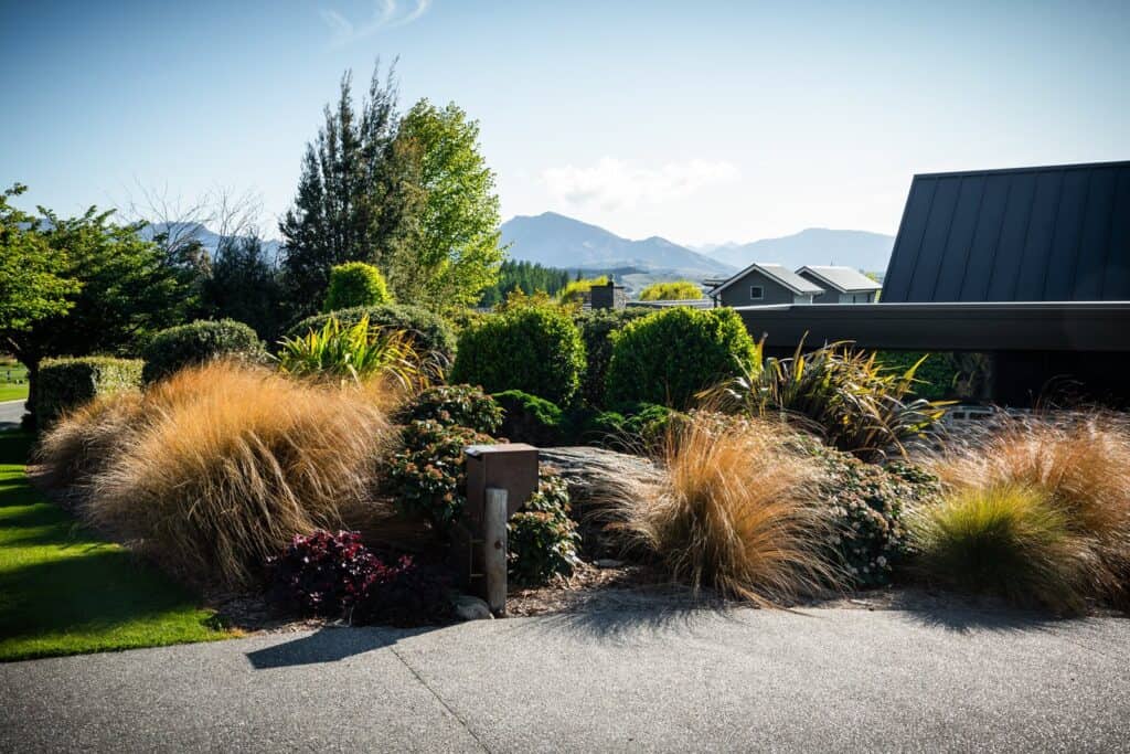 Elderberry Crescent Wanaka