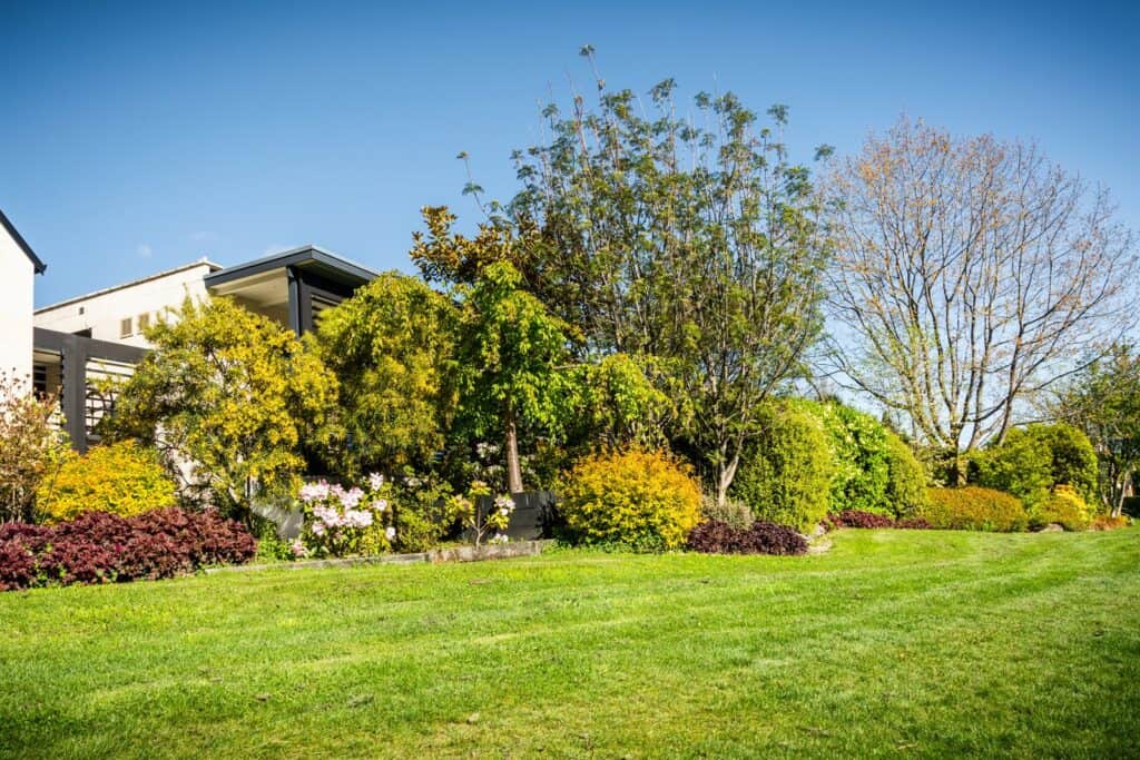 Norman Terrace Wanaka