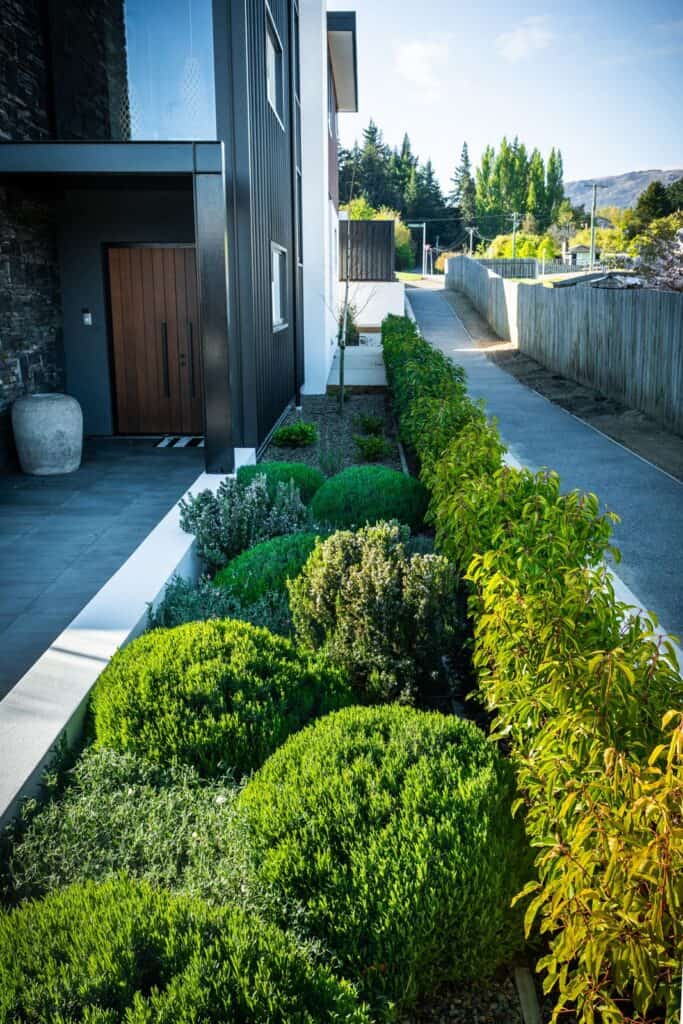 Warren Street Wanaka