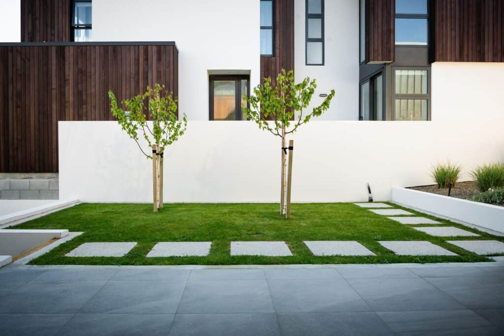 Warren Street Wanaka